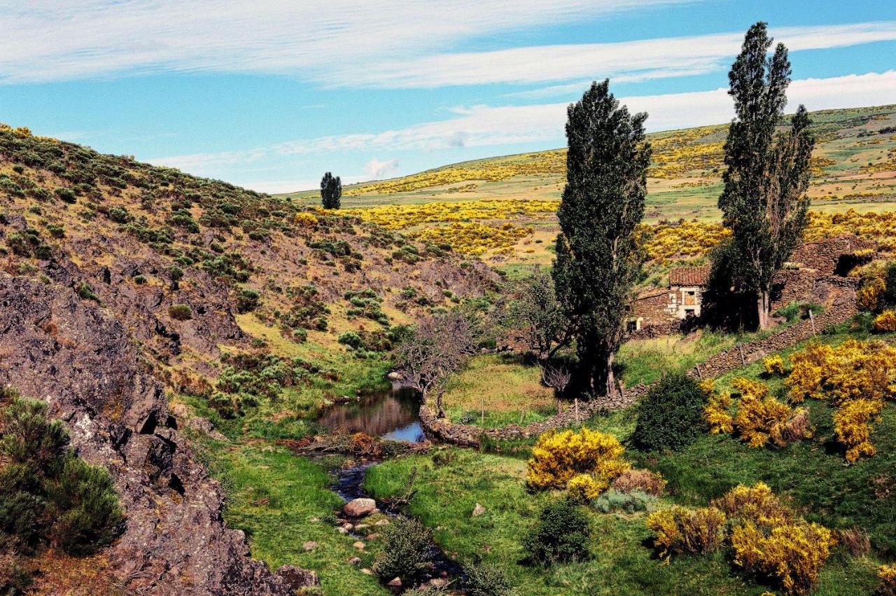 Casa Rural La Vereilla Барахас-де-Гредос Экстерьер фото